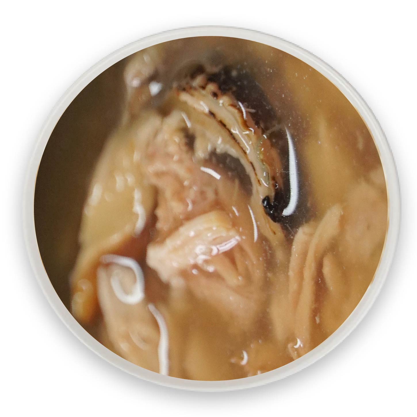 鸡丝绿唇贻贝汤罐