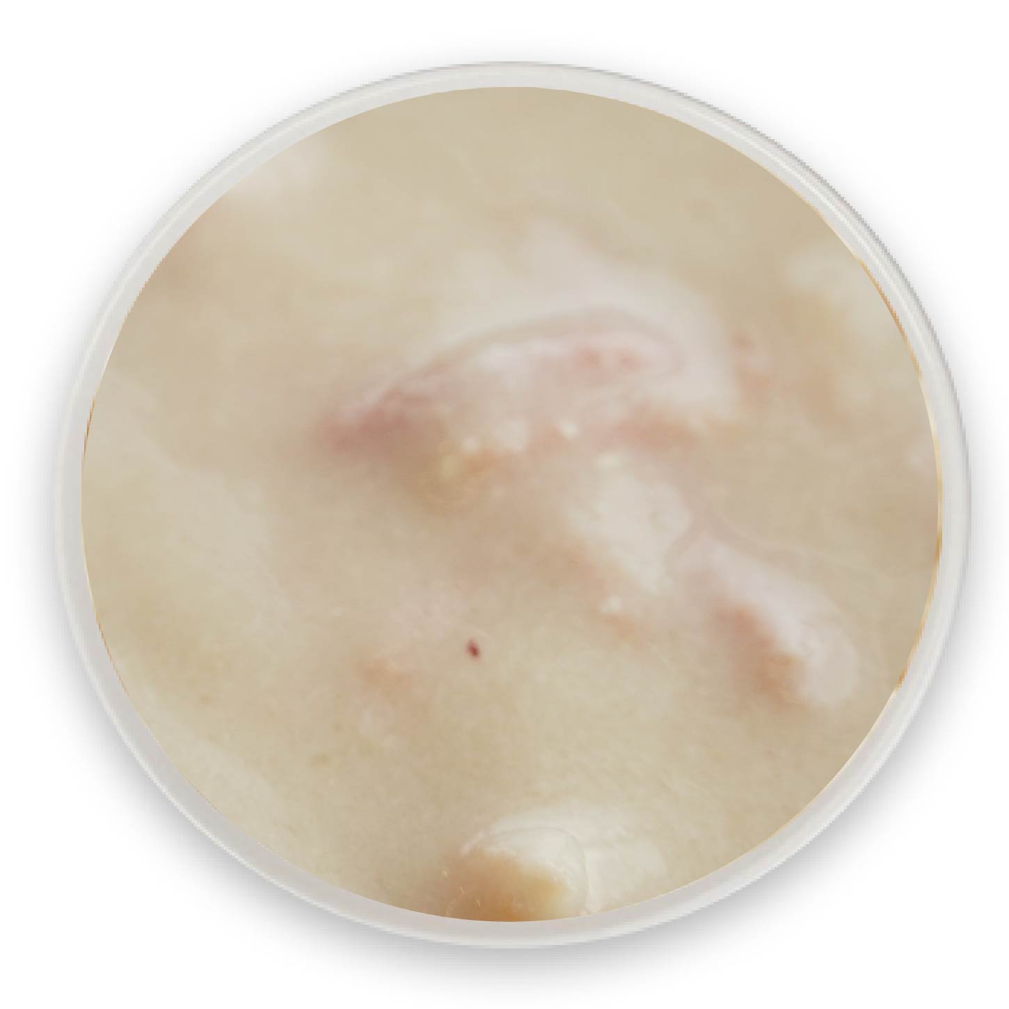 鸡肉鸭肉肉泥罐